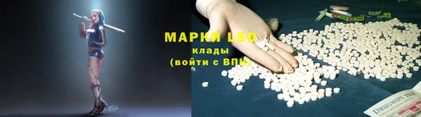 тгк Алзамай
