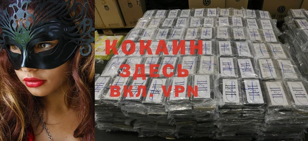 тгк Алзамай