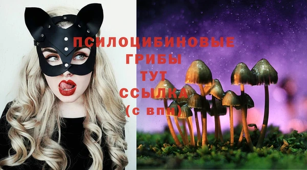 тгк Алзамай