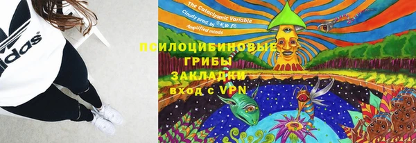 винт Алексин